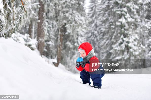 toddler earring snow in woodland - kapstaden stockfoto's en -beelden