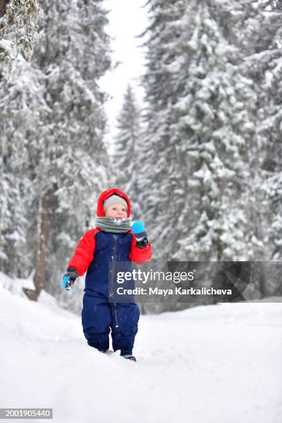 toddler earring snow in woodland - kapstaden stockfoto's en -beelden