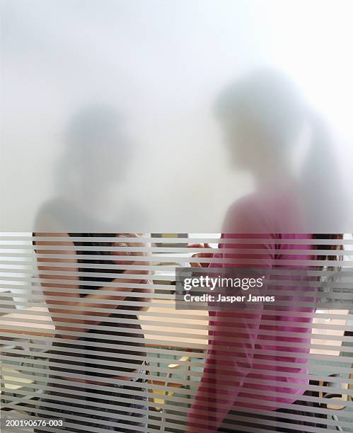 two businesswomen standing in meeting room, view through glass - frosted glass stock pictures, royalty-free photos & images