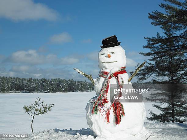 snowman with hat and scarf, winter - pupazzo di neve foto e immagini stock