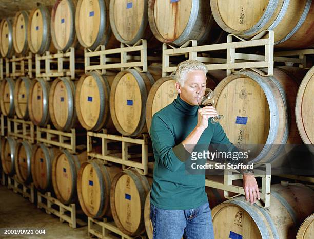 mature man wine tasting in winery - cellar stock pictures, royalty-free photos & images