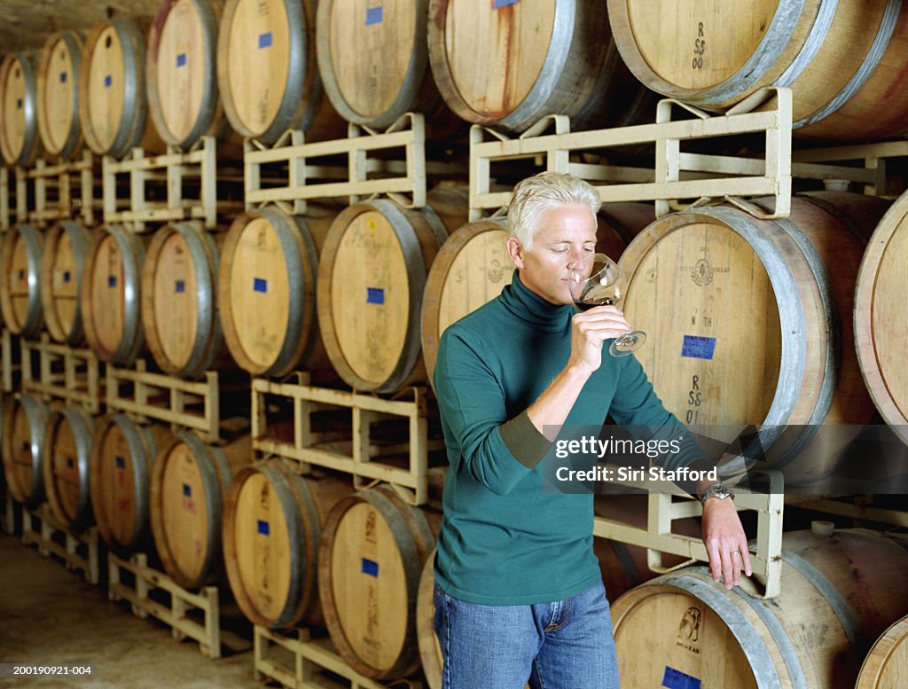 Mature man wine tasting in winery
