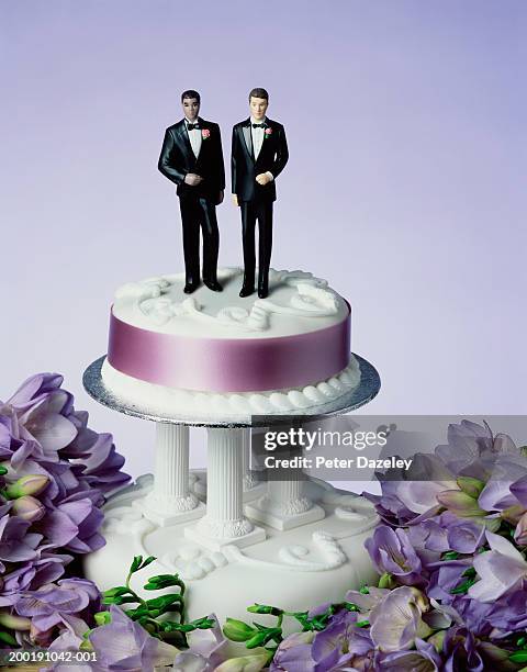 two groom figurines on wedding cake, close-up - gay wedding stock-fotos und bilder