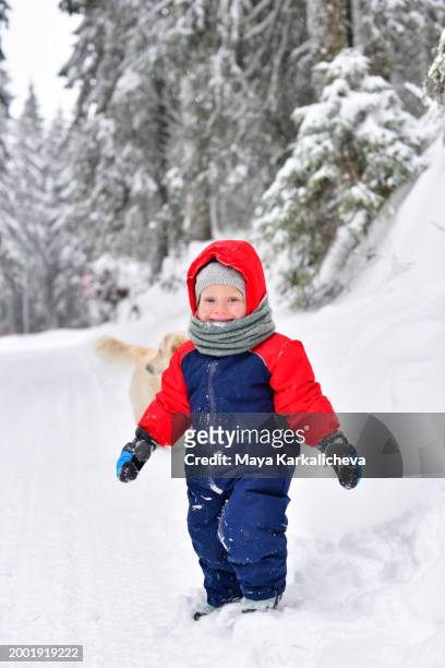 portrait of cute little boy playing with snow outdoors - kapstaden stockfoto's en -beelden