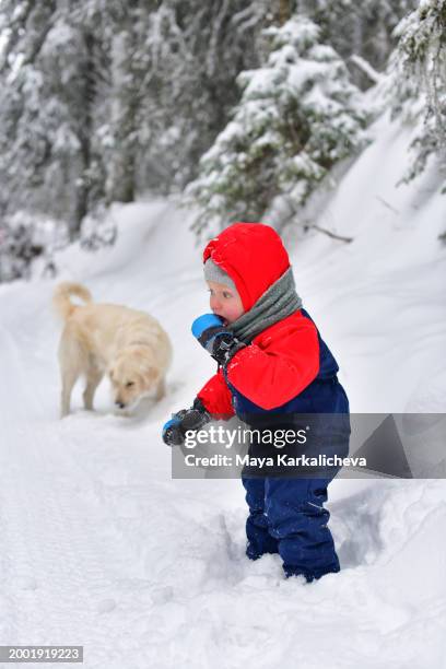 portrait of cute little boy playing with snow outdoors - kapstaden stockfoto's en -beelden