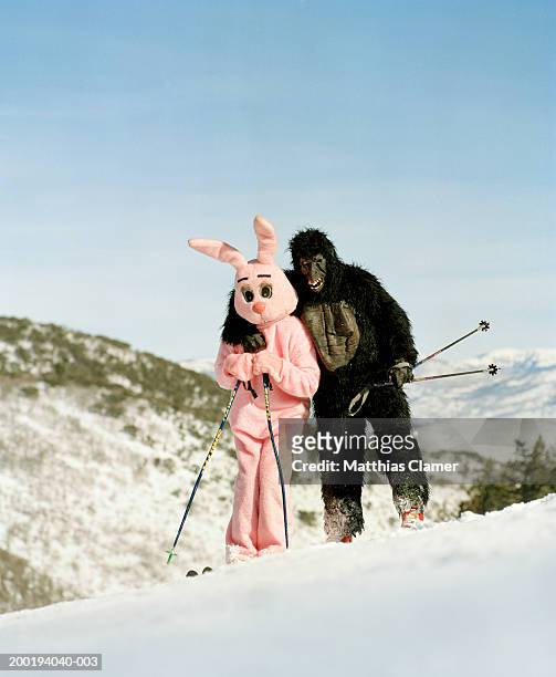 people wearing animal costumes on ski slope - animal friends stock-fotos und bilder