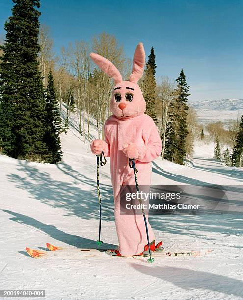 Ski Bunny Costume