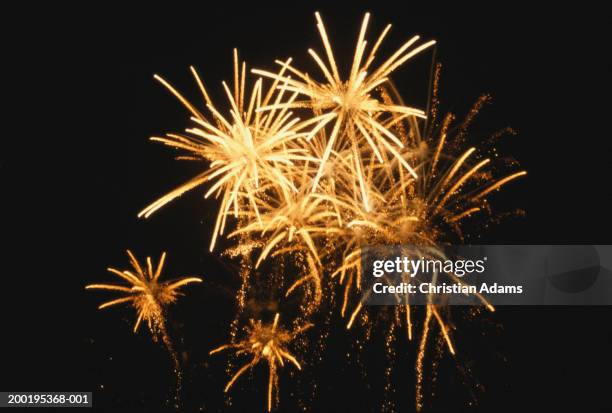 fireworks, night, low angle view - espetáculo de fogo de artifício imagens e fotografias de stock