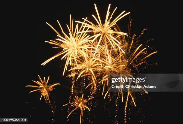 fireworks, night, low angle view - new year bildbanksfoton och bilder