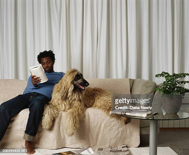 young man reading on sofa next to afghan hound - afghan ethnicity imagens e fotografias de stock