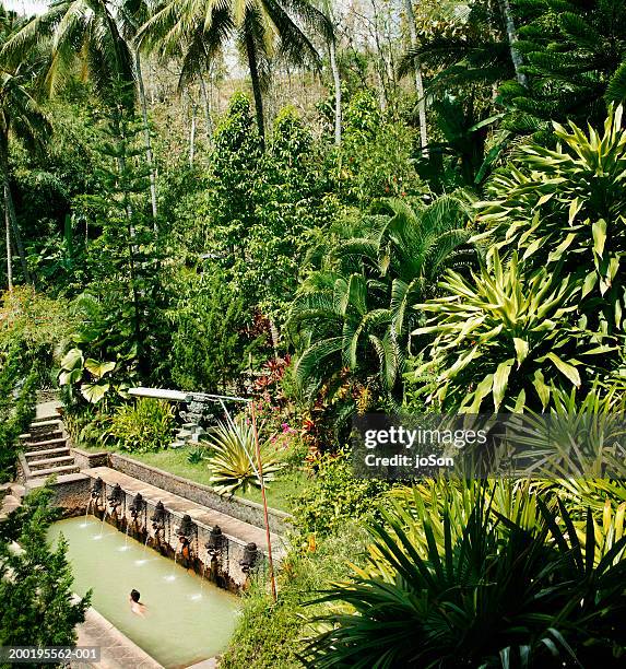 man swimming in natural hot springs pool, rear view, elevated view - singaraja imagens e fotografias de stock