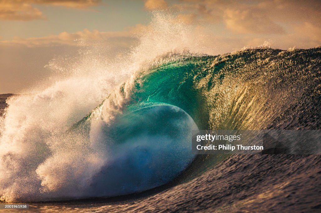 Close up to a powerful open ocean wave breaking on reef with dramatic golden light
