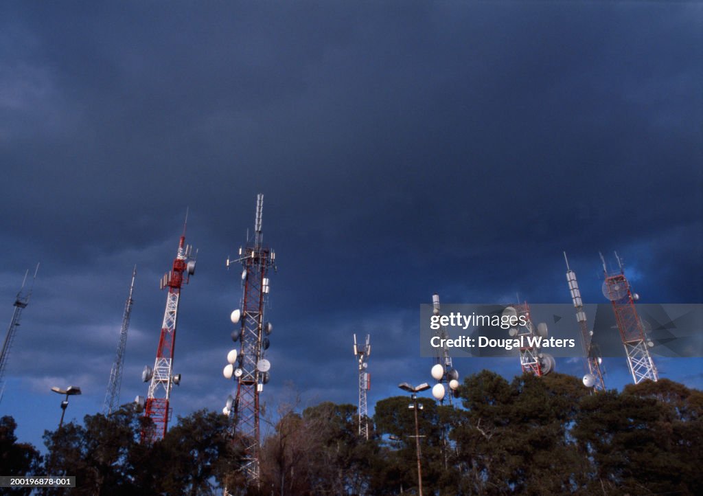 Communication masts rising above trees, low angle view