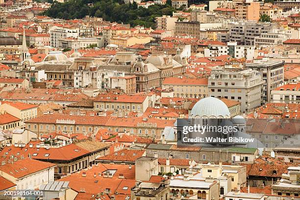 italy, fruili venezia giulia, trieste, cityscape, elevated view - friuli foto e immagini stock