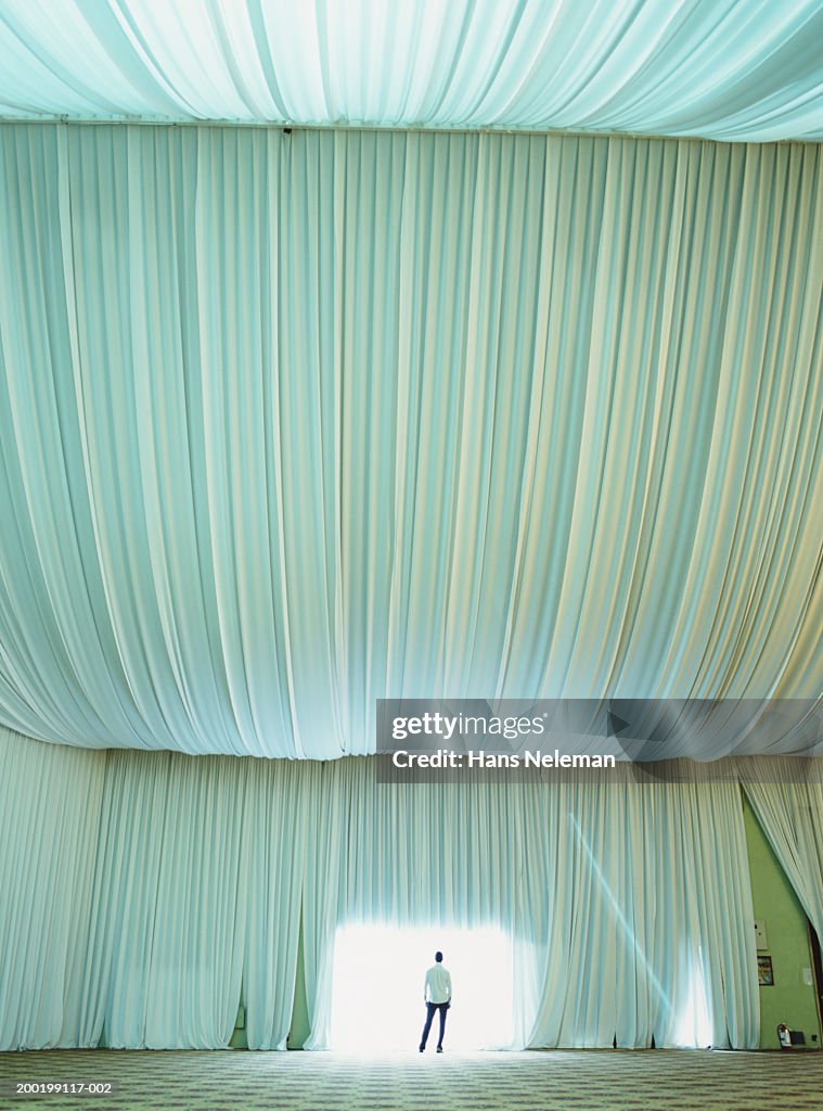 Young man standing at opening in tent, rear view