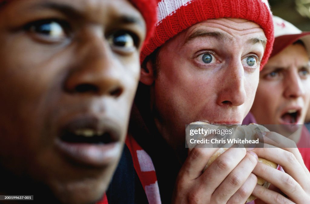Football supporters at match, one holding hambuger, close-up