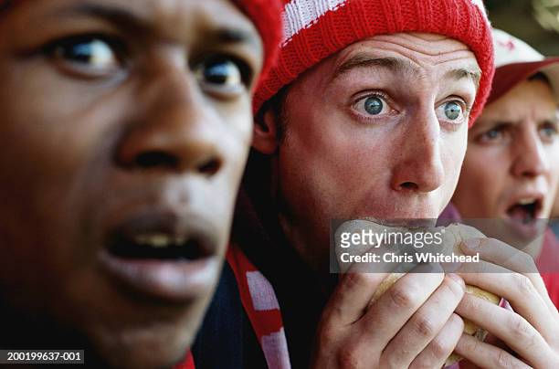 football supporters at match, one holding hambuger, close-up - sports fan stock-fotos und bilder