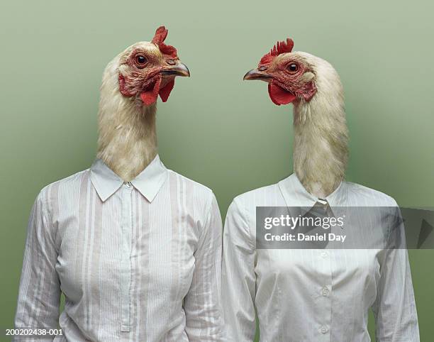 two women metamorphosised into hens (digital composite) - tierkopf stock-fotos und bilder