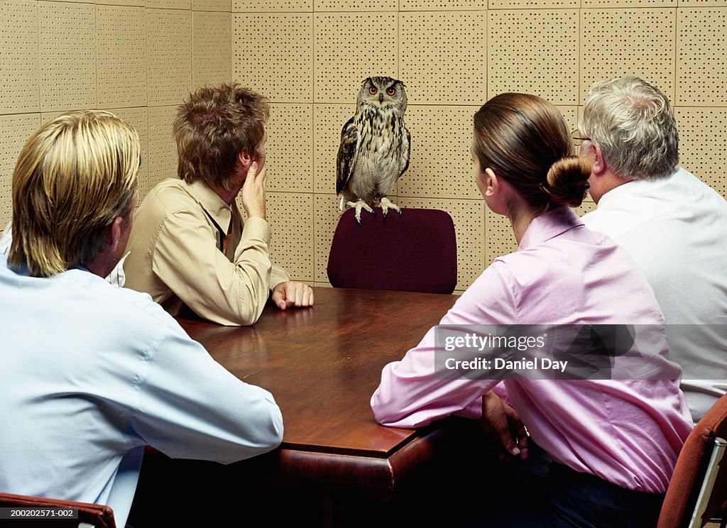 Colleagues looking at owl in meeting room (Digital Composite)