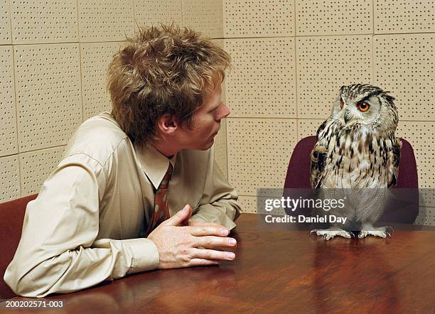 office worker looking at owl perched on table (digital composite) - uggla bildbanksfoton och bilder