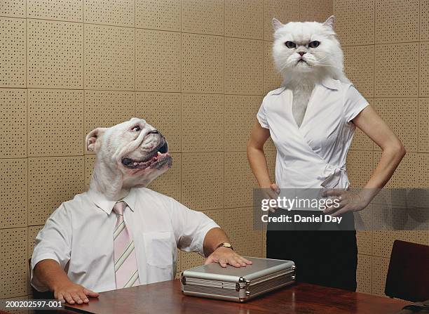 man and woman metamorphasised as cat and dog (digital composite) - office dog stock pictures, royalty-free photos & images