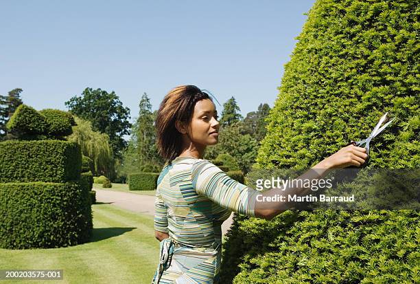 young woman trimming hedge in park - topiary stock-fotos und bilder