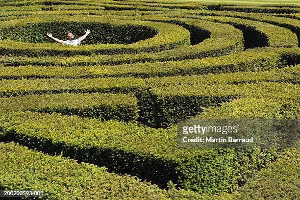 young man standing in centre of maze, arms up - hever castle stock pictures, royalty-free photos & images