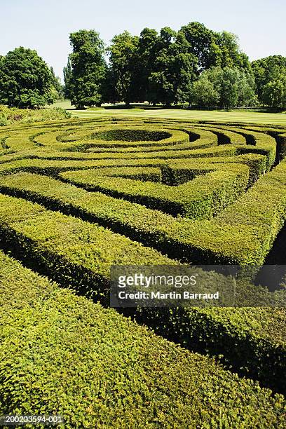 outdoor hedge maze - hever castle stock pictures, royalty-free photos & images