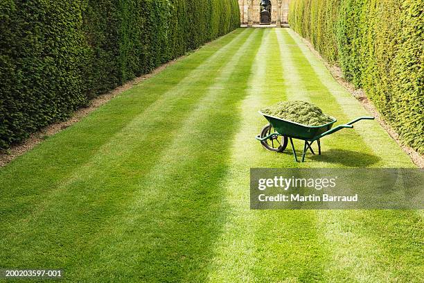 wheelbarrow full with grass clippings on mown, striped lawn - formal garden stock pictures, royalty-free photos & images