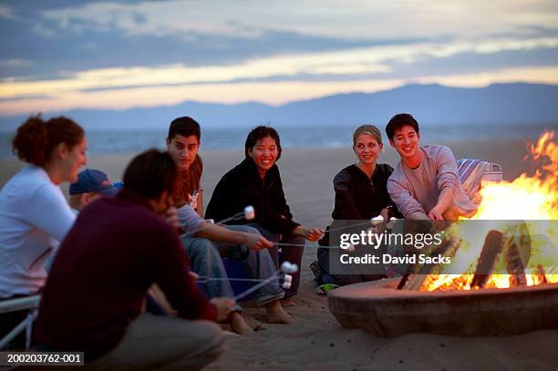 group of people on beach roasting marshmallows over bonfire - camp fire stock pictures, royalty-free photos & images