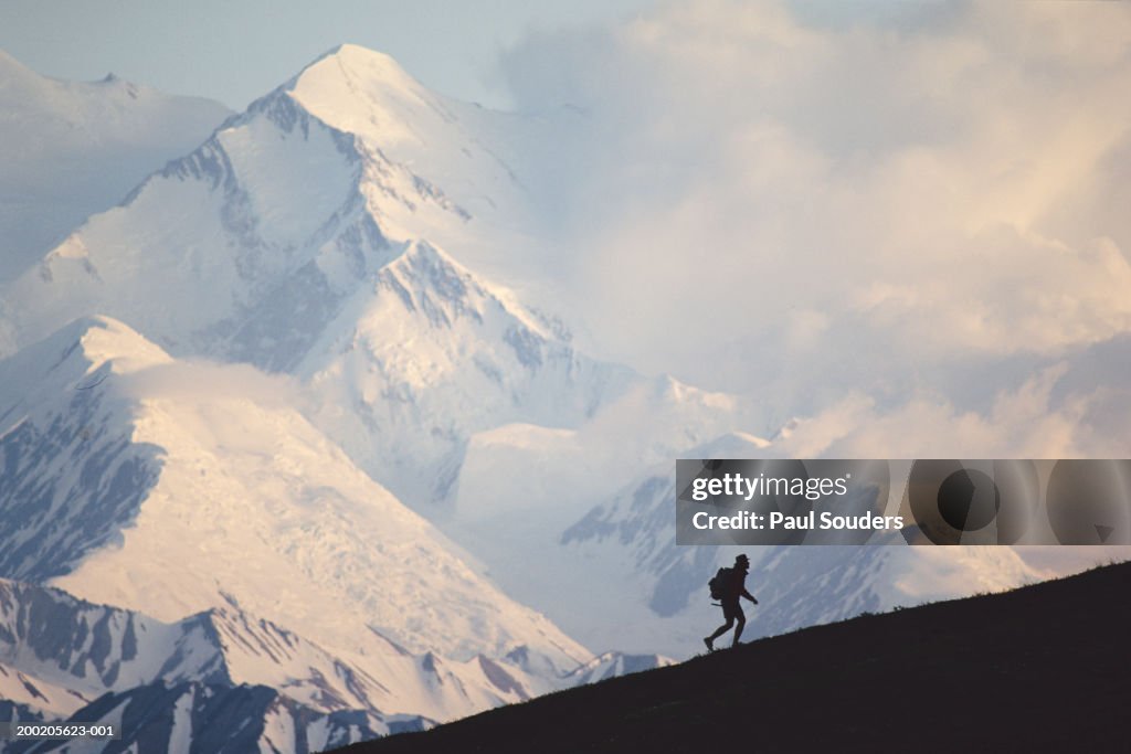 USA, Alaska, Denali NP, hiker silhouetted against Mt. McKinley, sunset