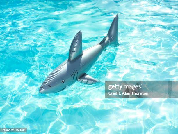 inflatable shark in swimming pool - plastikhai stock-fotos und bilder