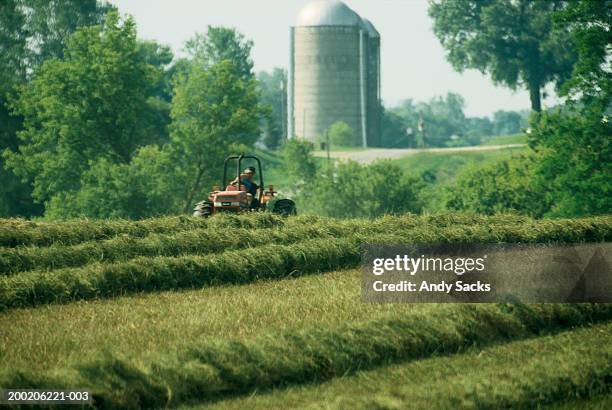 farmer harvesting organically grown alfalfa on certified organic farm - alfalfa field stock-fotos und bilder