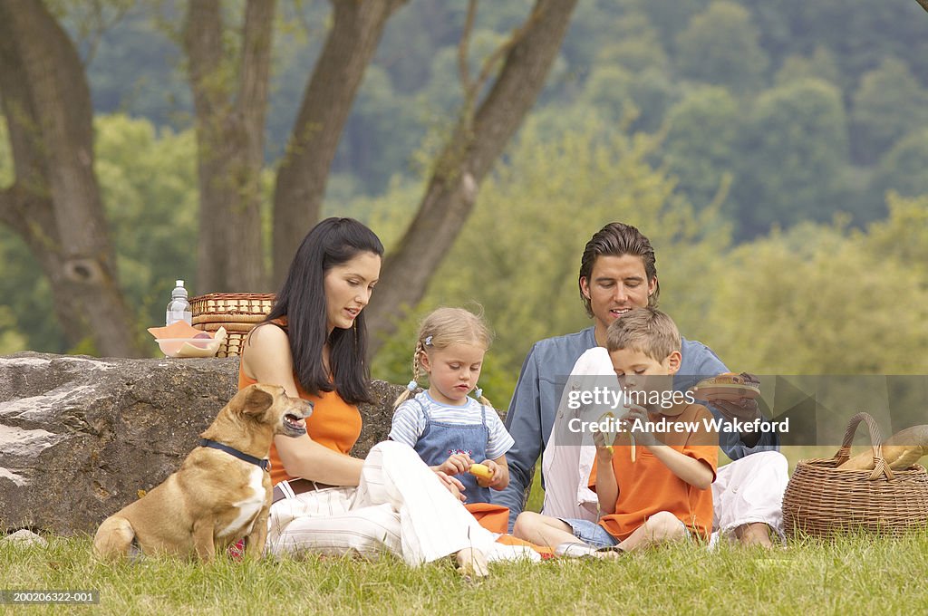 Family eating picnic in field