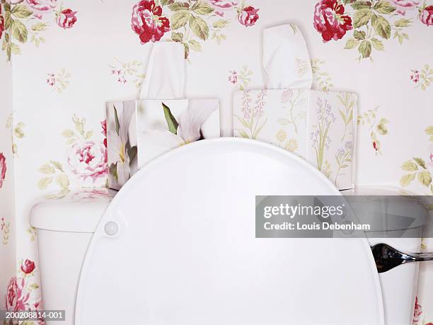 two flower patterned tissue boxes on toilet with lid open - lid stock pictures, royalty-free photos & images