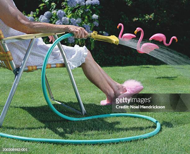 senior woman in lawn chair, watering grass, low section, side view - kitsch stock pictures, royalty-free photos & images
