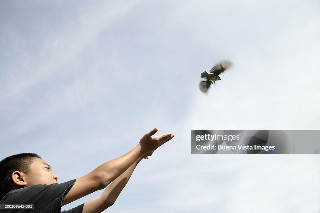 Boy (10-12) releasing bird from hands, low angle view