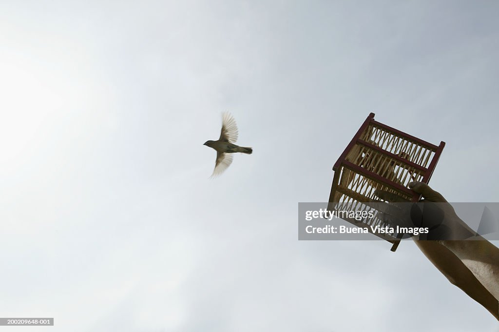 Man releasing bird from small cage, low angle view
