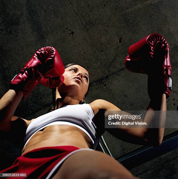 young female boxer with gloves raised, low angle view - boxing womens ストックフォトと画像