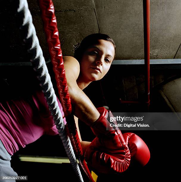 young female boxer resting arms on ropes, portrait, low angle view - boxing womens stock pictures, royalty-free photos & images