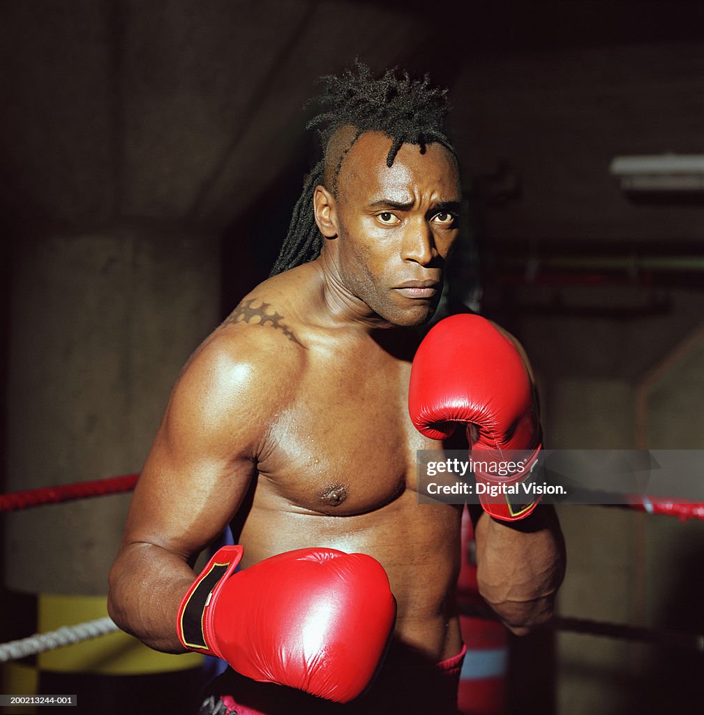 Young male boxer in ring with gloves raised, portrait