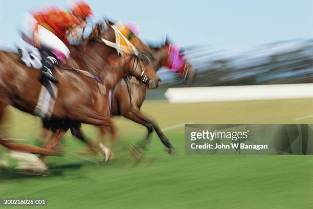 jockeys racing horses on race track, side view (blurred motion) - jockey stock-fotos und bilder