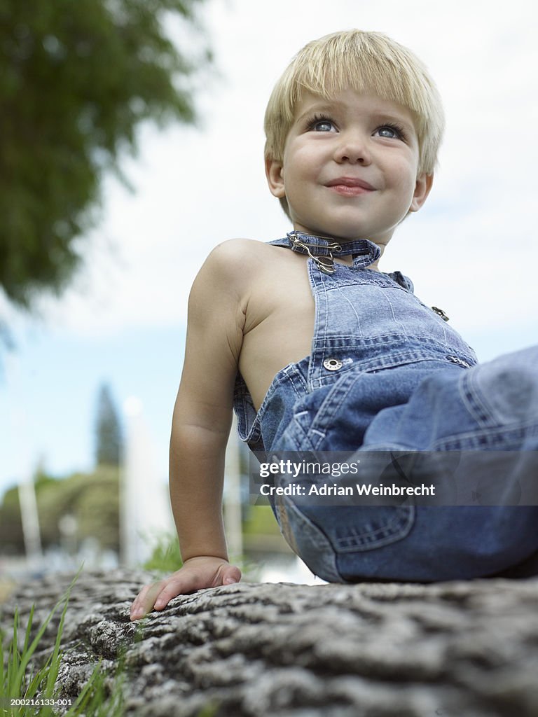 Boy (2-4) sitting on log, smiling, low angle view