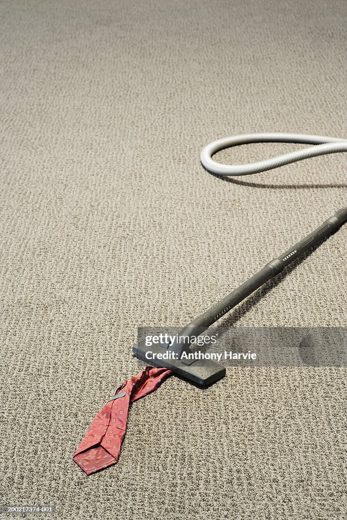 Tie sucked into hoover on carpet