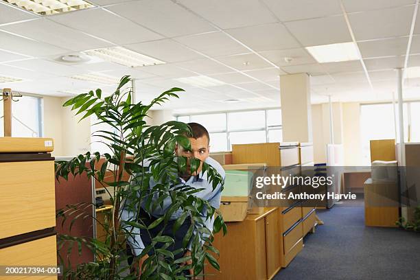 man hiding behind plant in office looking through foliage - hiding stockfoto's en -beelden