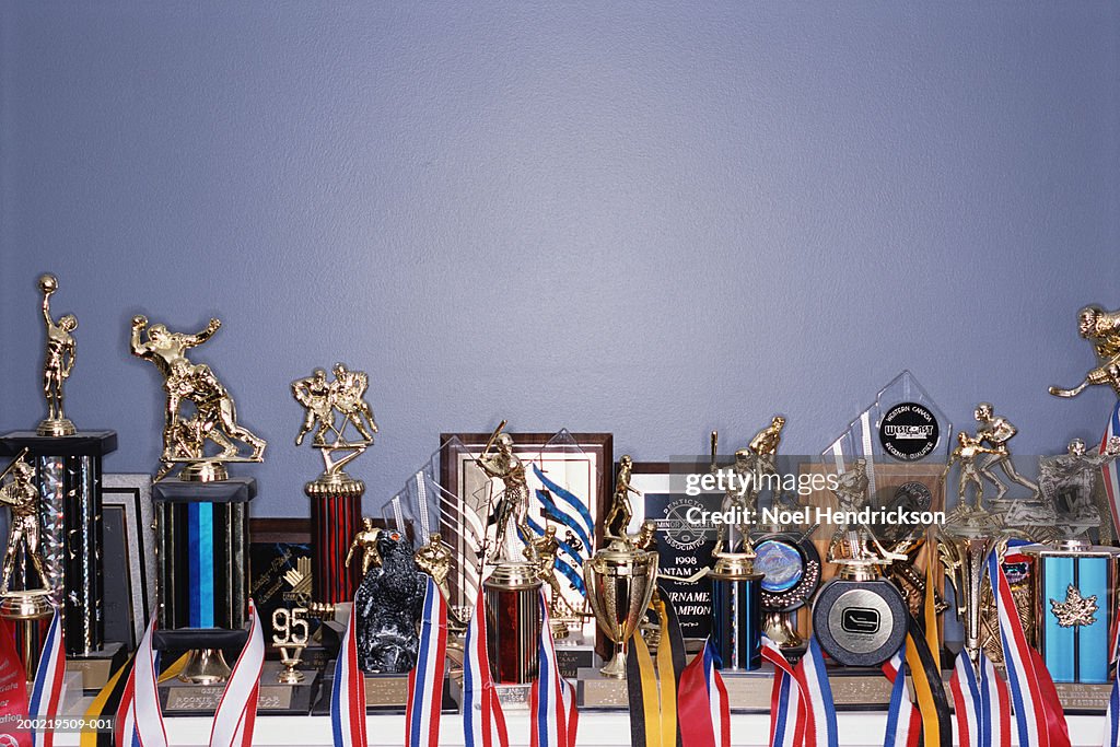 Sports trophy collection on shelf