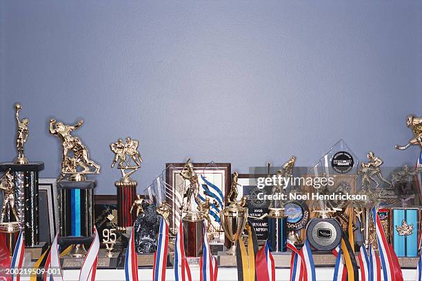 sports trophy collection on shelf - trophy shelf imagens e fotografias de stock