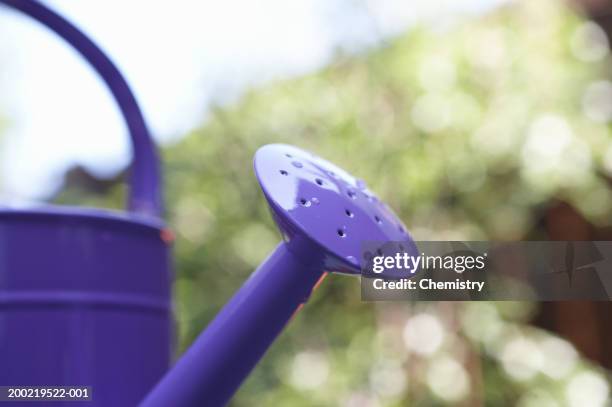 watering can, close-up of spout - pour spout stock pictures, royalty-free photos & images