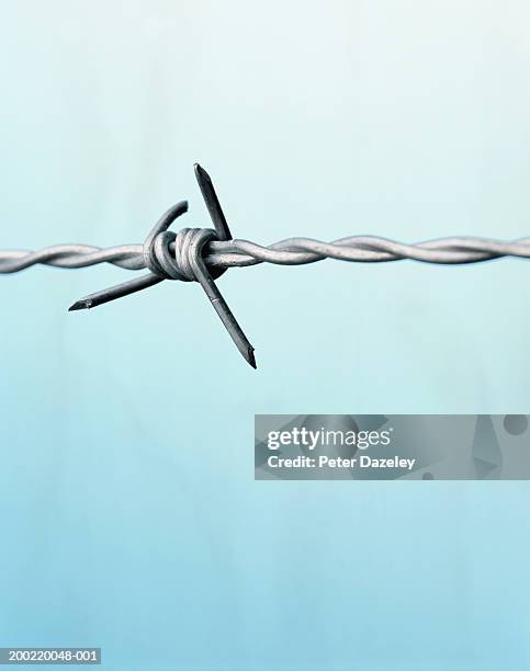 barbed wire, close-up - barbed wire fence stock-fotos und bilder