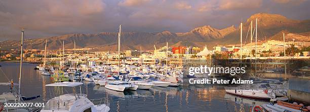 canary islands, tenerife, las americas, yachts moored in marina - playa de las americas stock pictures, royalty-free photos & images